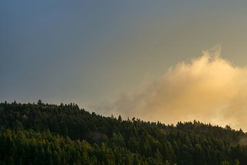 Germany, Black Forest, Freiburg, Sunlight in fog clouds over trees in autmn by adventure-photos