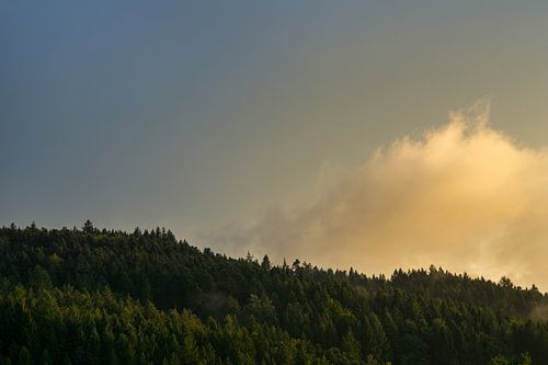 Duitsland, Zwarte Woud, Freiburg, Zonlicht in mistwolken over bomen in autmn