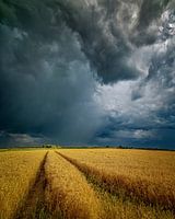 Schlechtes Wetter im Anmarsch...