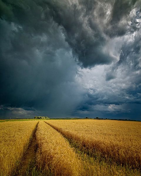 Schlechtes Wetter im Anmarsch... von Bram de Jong