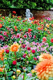 Colourful collection of Dahlias at Keukenhof estate by Arie van Vugt