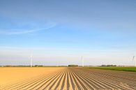 Vers geploegd aardappelveld met rechte aardappelruggen van Sjoerd van der Wal Fotografie thumbnail