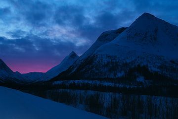 Nowegen Lofoten van Artbymartin