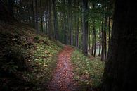 Waldweg im Herbst von Suzanne Schoepe Miniaturansicht