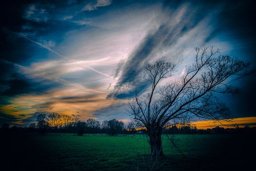 After the storm