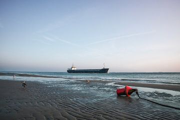 Flushing freighter with Buoy and Seagulls on Tidal shore (cargo en train de tirer des bords avec une bouée et des mouettes sur le rivage)