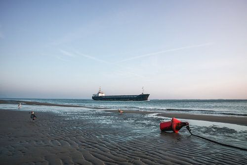 Vrachtschip Vlissingen met Boei en Meeuwen aan Getijdenkust