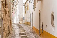 Alley in Portugal