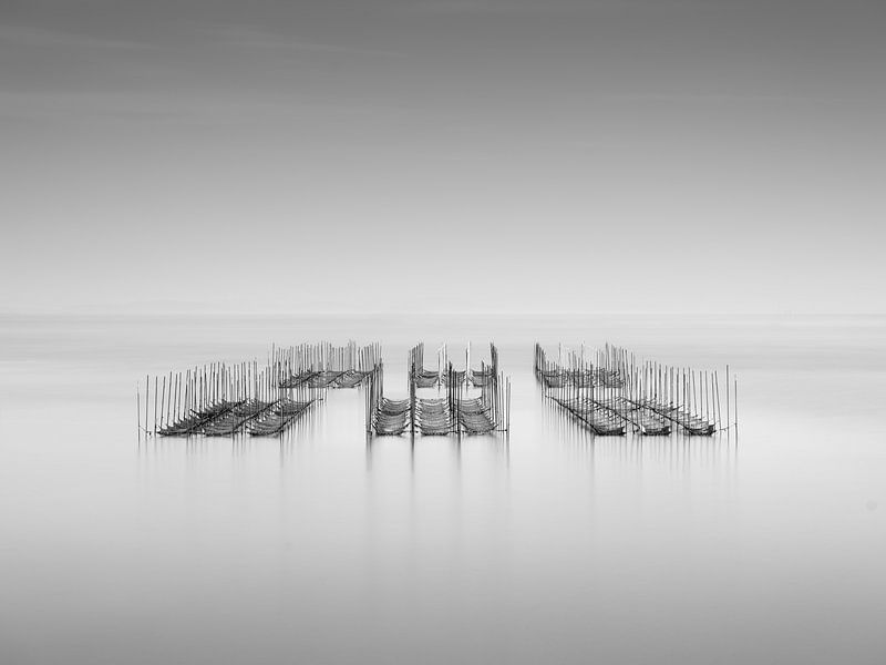 Seegras-Zentrale von Robert Bolton