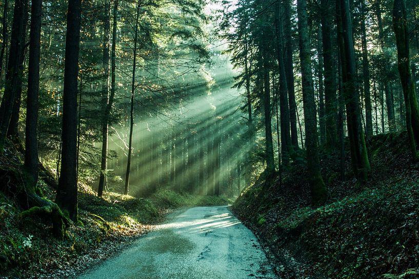 Zonnestralen/Sunrays van Mark Koghee