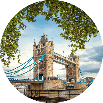 torenbrug van Frank Peters