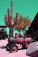 Arizona droom