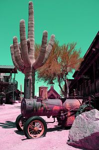 Arizona dream