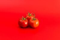 Three tomatoes against a red backdrop