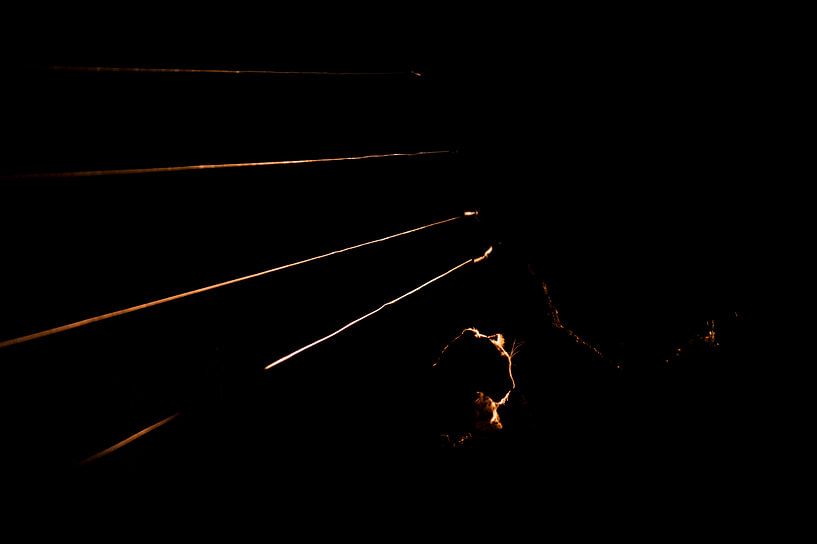 Nachtelijk silhouet luipaard van Lotje Hondius