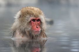 MY FRIEND van Ria de Heij