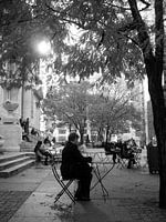New York library