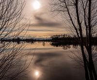 dreamscape