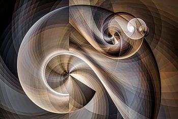Nautilus-schelp - Fibonacci-reeks