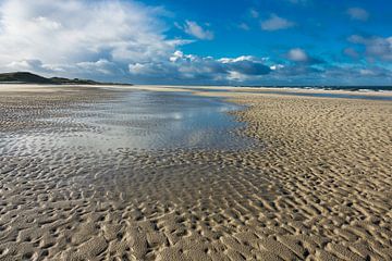 Strand an der Nordseeküste auf der Insel Amrum von Rico Ködder