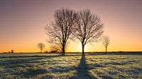 Zonsopkomst tijdens een koude mooie ochtend