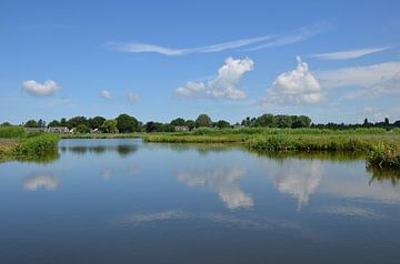 Nederlandse landschap van Corinna Vollertsen