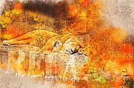 Relax - The lion sleeps tonight van Sharon Harthoorn thumbnail