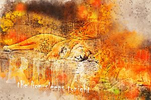 Relax - Le lion dort cette nuit sur Sharon Harthoorn