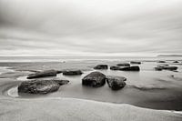 Seelandschaft #2