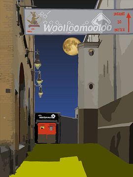 018. Nacht bij Woolloomooloo
