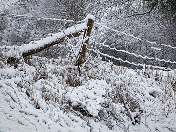 Ein Hauch von Winter @ Dikkebuiksweg in Wijlre von Rob Boon