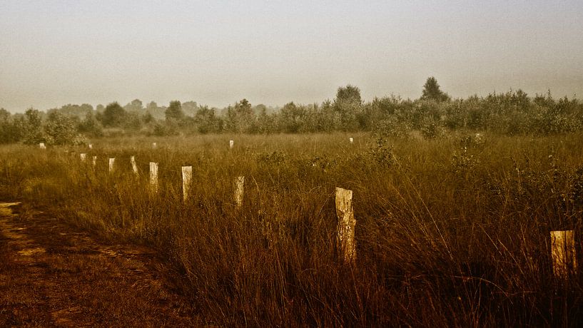 Engbertsdijksvenen 9 by Joop de Lange