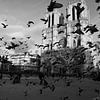 Notre Dame de Paris von Jasper van de Gein Photography