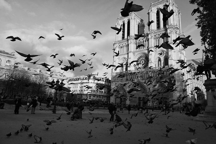 Notre Dame de Paris van Jasper van de Gein Photography