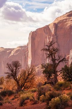 Bäume im Monument Valley von Martin Podt