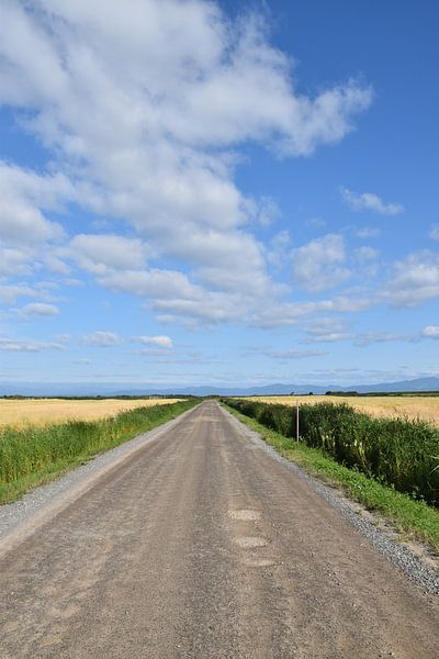 A country road in summer by Claude Laprise