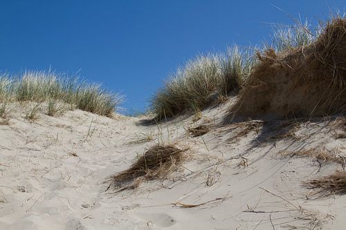 strand Egmond aan Zee, Noord-Holland (4)