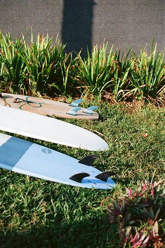 Surfbretter in der Sonne (Analogfoto)