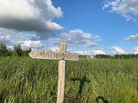 Natuur