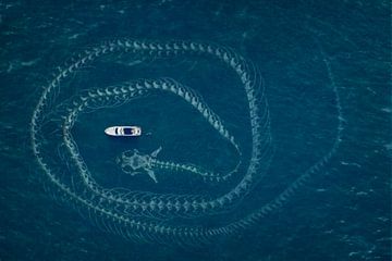 The sea serpent by Elianne van Turennout