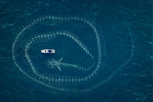 Une manipulation d'image enchanteresse : Bateau en mer et serpent de mer créent un contraste saisissant