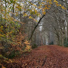 An avenue across an estate by Gerard de Zwaan
