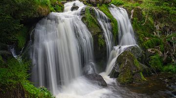 Magischer Wasserfall eines starken Flusses, der über grüne moosbewachsene Felsen und Steine fließt, Naturlandschaft, magische Aussicht von adventure-photos