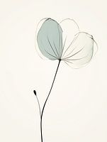 Japandi, Flower