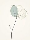 Japandi, Flower by Caroline Guerain thumbnail