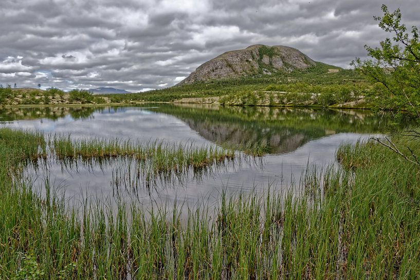 Norwegen, Norway by Michael Schreier