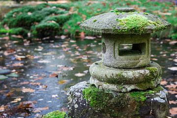 Japanse tuin van Danielle Martina
