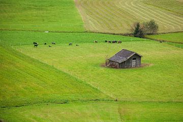 Alpine pasture with hay barn by Torsten Krüger