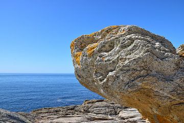 Côte Sauvage: the wild coast by Ingrid de Vos - Boom