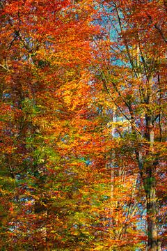 Herfsttijd van Thomas Jäger